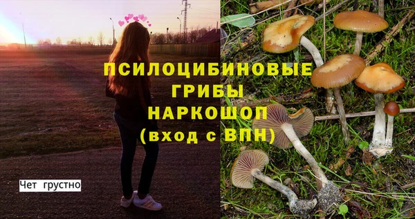 прущий лед Протвино