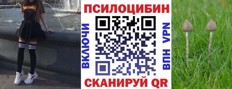 Галлюциногенные грибы ЛСД  omg ONION  Сергач 
